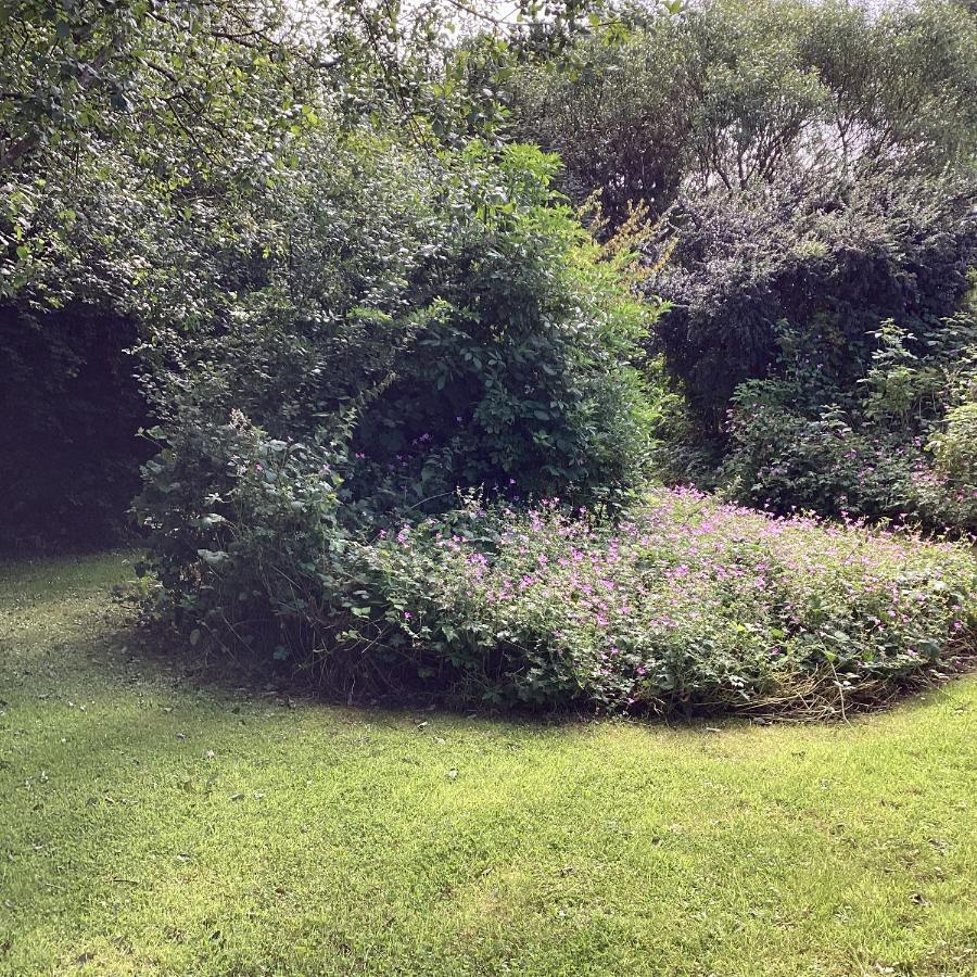 Asdee House Bed and Breakfast Bushmills Εξωτερικό φωτογραφία